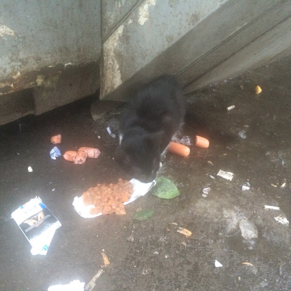  #_ #@catism.     . , ... - 3