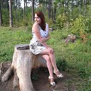 ���� ���������, ������ - ��������� 8 ������� 2015 � ������ ���� ����������