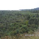 ���� ������� ��������, ������, 42 ���� - ��������� 30 ������ 2015 � ������ ���� ����������