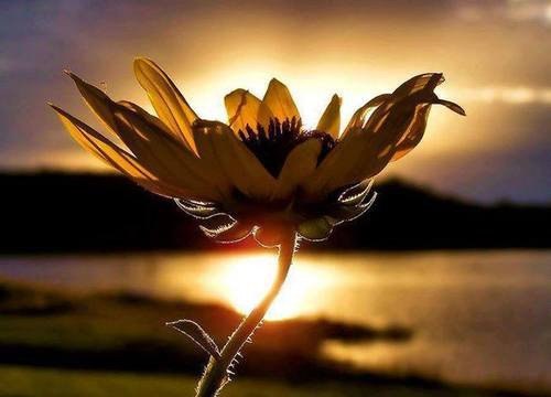 Психология отношений - 22 марта 2015 в 19:32 - 5