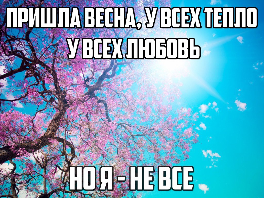 Человек не любит весну. Мемы про весну. Мемы про весну и любовь.