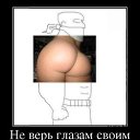���� ����, ������, 44 ���� - ��������� 1 ������ 2015 � ������ ������ ��������