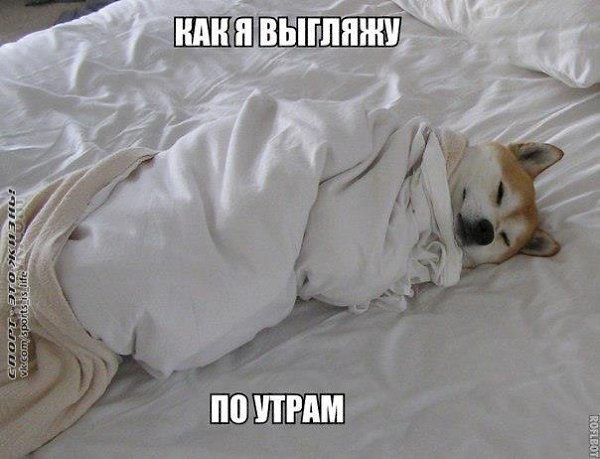  -   - 26  2014  09:08
