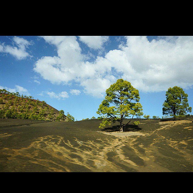 .. .   sony a7.