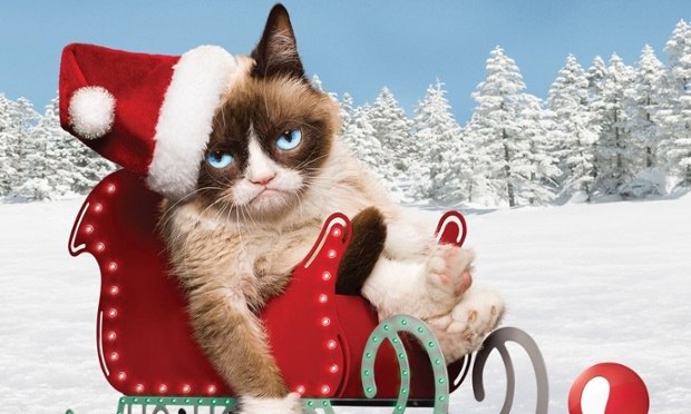 Merry Christmas everyone!!! :))
