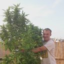  , -, 37  -  18  2015    