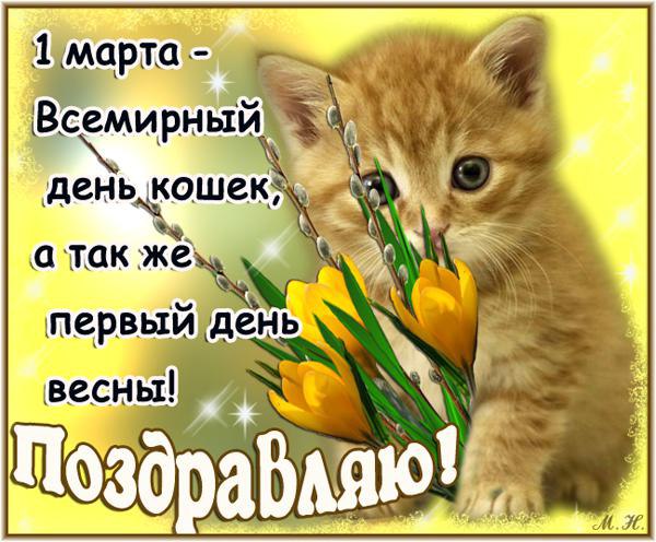  - 1  2015  15:33