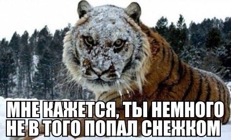    :-) - 3  2015  03:40