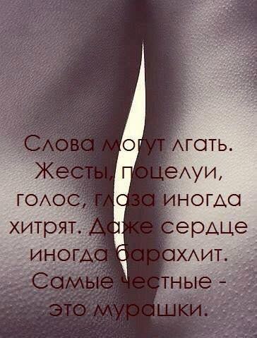   - 28  2015  07:59