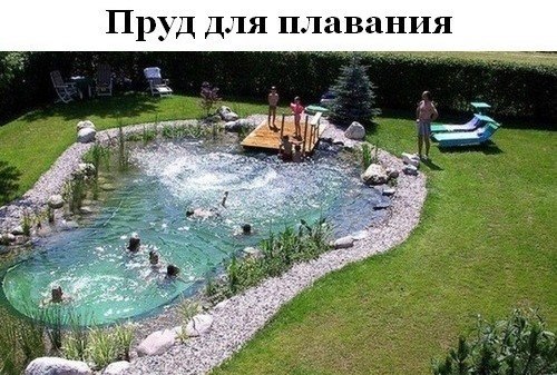 Вещи, которые было бы круто у себя иметь дома: - 10