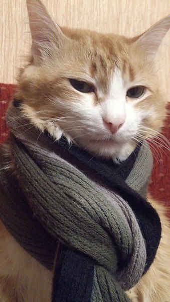А мы ведь ни разу не добавляли Подборки картинок! Исправим! Очень скоро в паблике появятся подборки ...