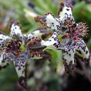 ���� �����, ��������� - ��������� 21 ������� 2015 � ������ ������ ��������