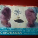 ���� ����, ������ - ��������� 24 ������ 2015 � ������ ���� ����������