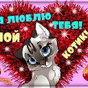 ���� �����, ������������ - ��������� 22 ������� 2015 � ������ ������ ��������