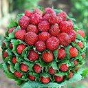 ���� ����, ������ - ��������� 21 ������ 2015 � ������ ����������