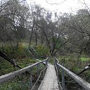 ���� �������, ������, 63 ���� - ��������� 3 ������ 2015