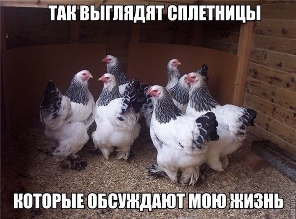   - 27  2015  14:01