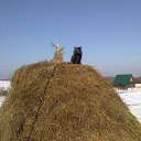 ���� Wadim, ��������� - ��������� 9 ����� 2015 � ������ �������