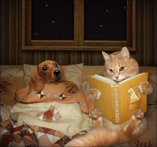     :)  :)