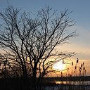 ���� Jyri, ������, 55 ��� - ��������� 30 ������ 2015 � ������ �Tallinn january 2015�