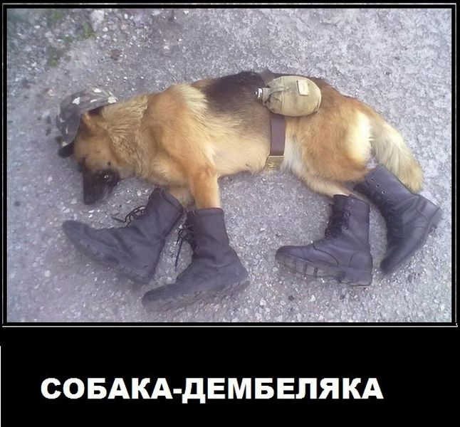  ... https://fotostrana.ru/away?to=/sl/143#ii8