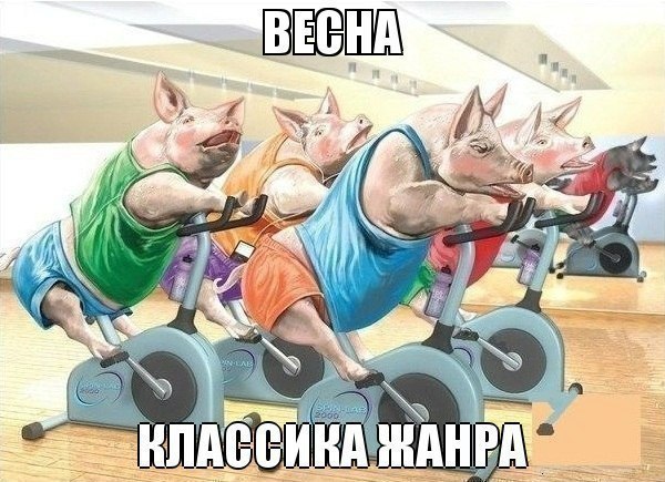  - 17  2015  16:28