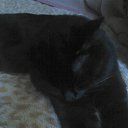 ���� �����, �����-��������� - ��������� 17 ����� 2015 � ������ ���� ����������