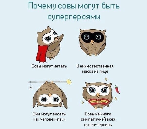 Наши любимцы :3 - 3 февраля 2015 в 12:08