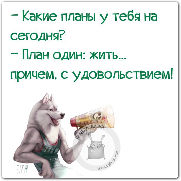 Какие ваши планы. Какие планы на сегодня. Какие планы на сегодня картинки. Какие планы на субботу. Смешные планы на жизнь.