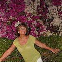 ���� ����, �����������, 71 ��� - ��������� 14 ����� 2015 � ������ ������ ��������