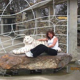 �������, �������, 49 ���