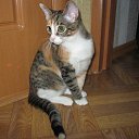 ���� �����, ������������, 74 ���� - ��������� 8 ������ 2015 � ������ �������- "����� ���� �����"�