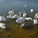 ���� ������, ���������, 42 ���� - ��������� 24 ������ 2015 � ������ �XXX�