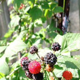 ��������, ��������, 68 ���