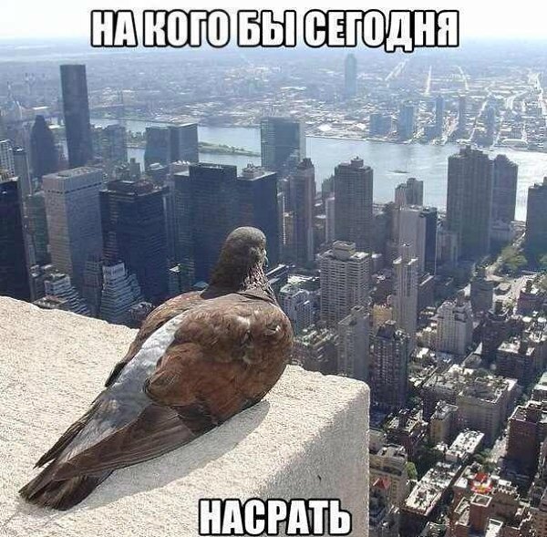   | , ,  - 3  2015  09:06