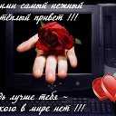���� Leon, ������ - ��������� 8 ������� 2015 � ������ �Cvety, podarki!�