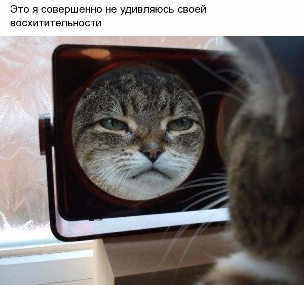 ,  .