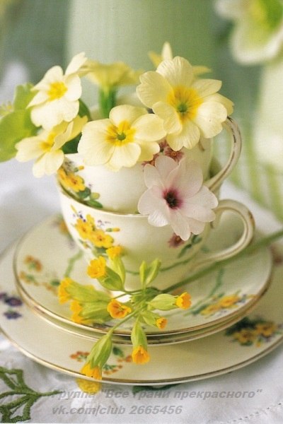 ||  ... || - 5  2015  17:31