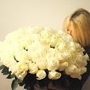 ���� �������, ������ - ��������� 13 ������ 2015 � ������ ������ ��������