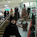 ������ 2015