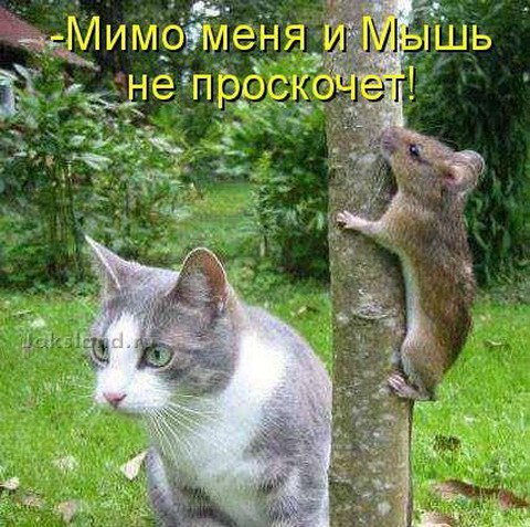 K���� K����� - 16 ������� 2015 � 15:45