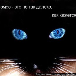 ����, ������, 47 ���