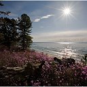 ���� ����, �������, 45 ��� - ��������� 27 ������� 2015 � ������ ������ ��������