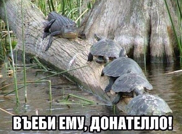   ,  : <a href=