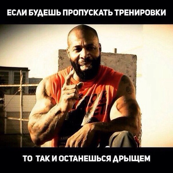 SportFeed - 20  2015  16:17