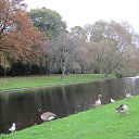 At the Regent&#039;s Park, London, UK   UK &amp; Ireland