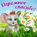 ���� ��������, ��������, 70 ��� - ��������� 8 ������ 2015 � ������ �������� ��������