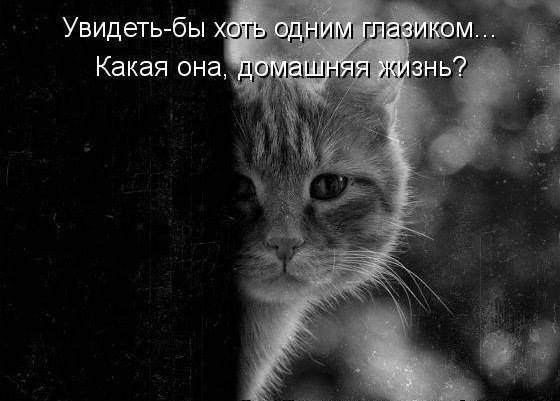       - 5  2015  10:34
