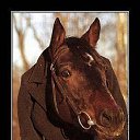  Klempner Deutscher,  -  27  2015    