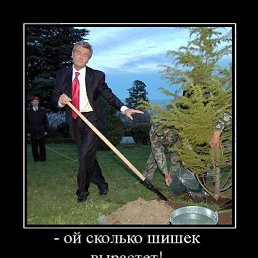 ���� �������, ��������������, 45 ��� - ��������� 1 ������� 2015